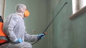  , TX Mold Removal Pros